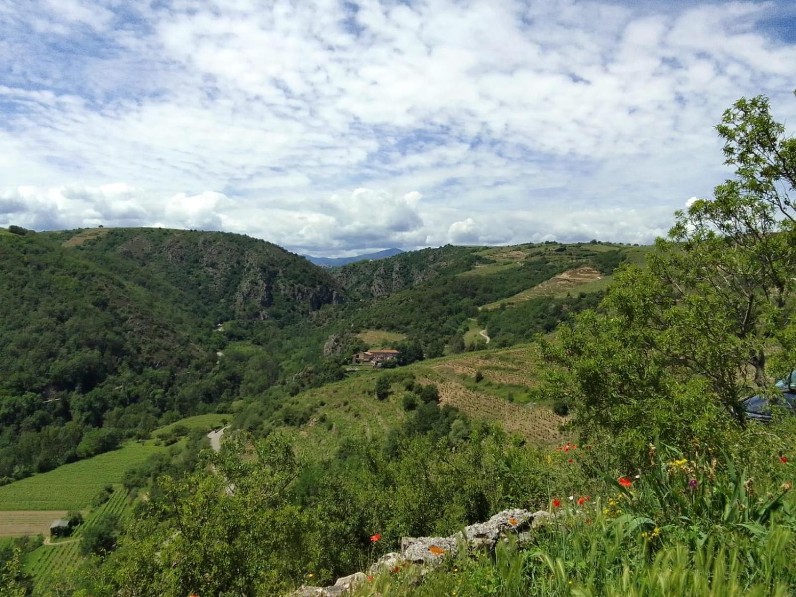 De Revirand Holiday home Sarras