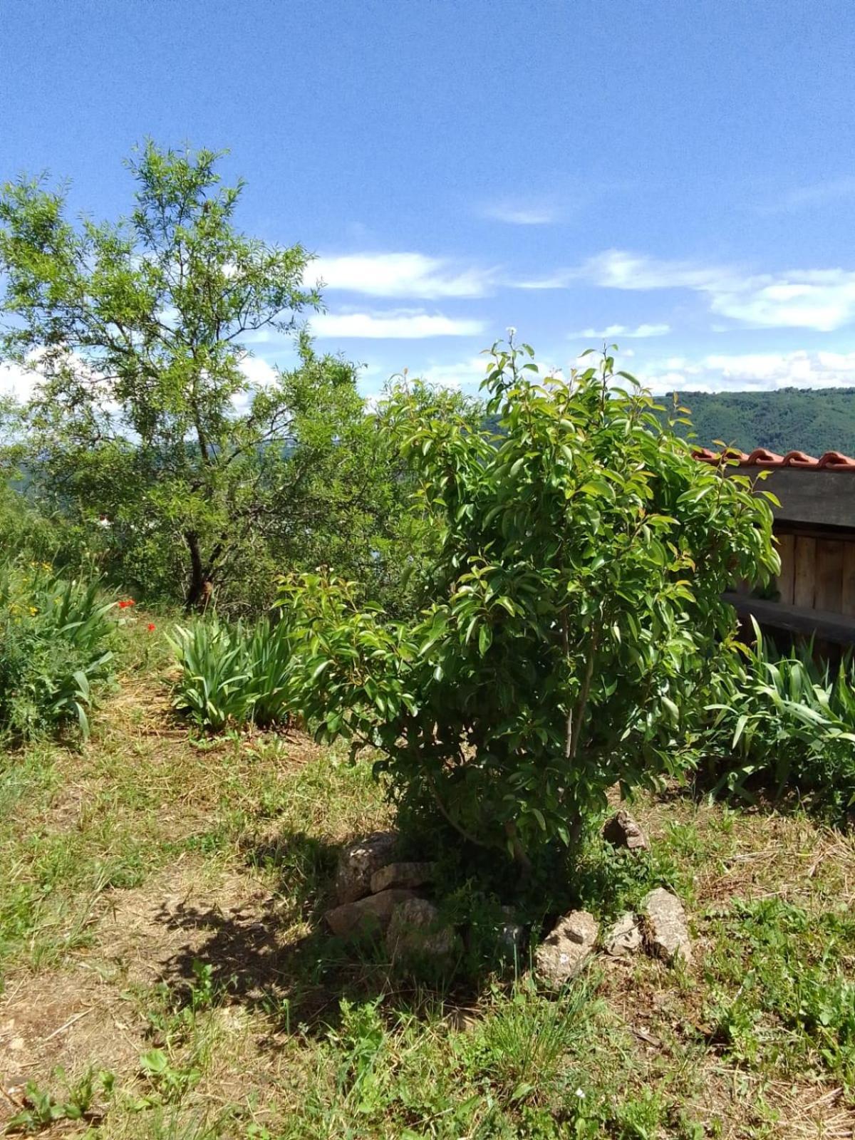 De Revirand Holiday home Sarras